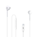 Earphones
