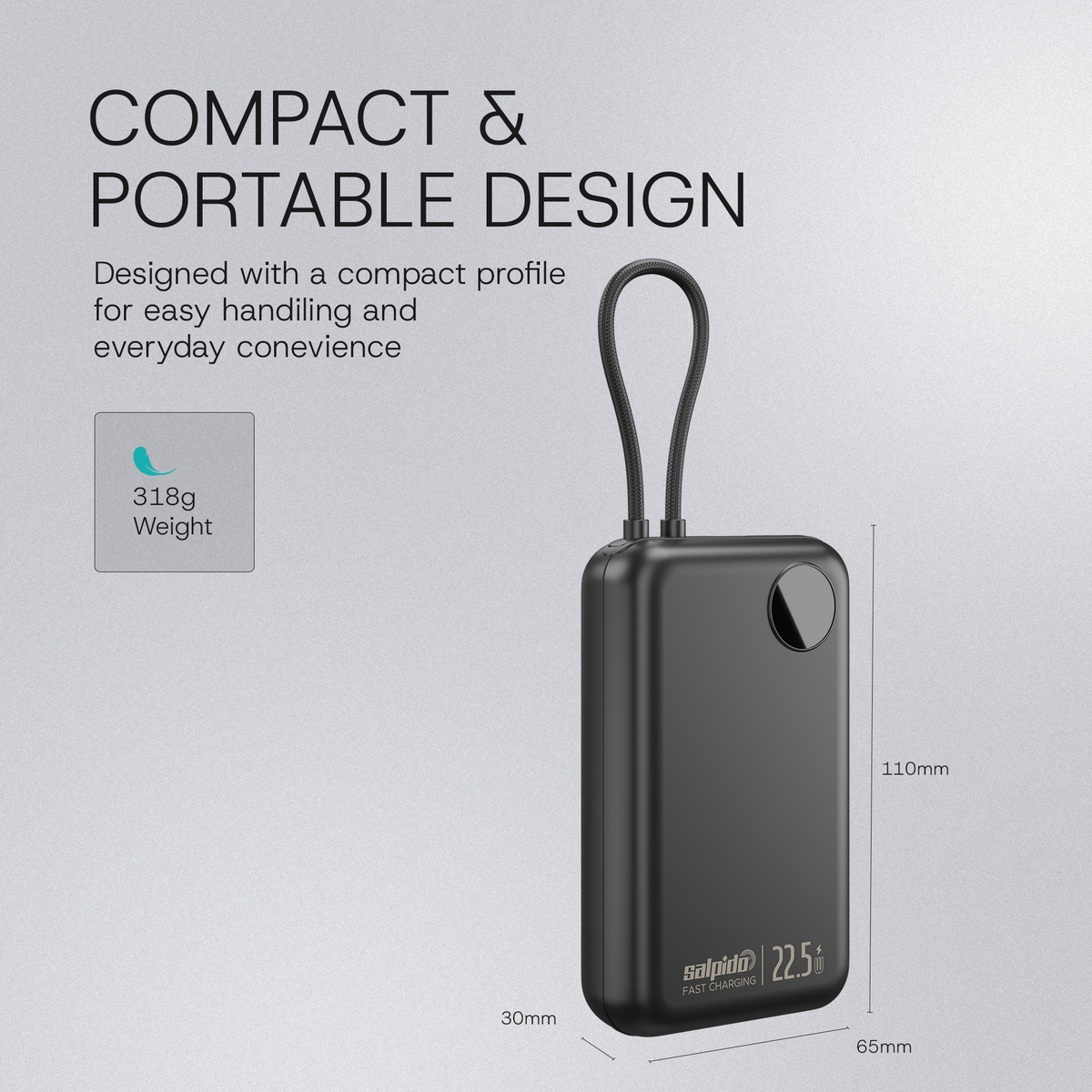 Salpido Powervolt 202 Max — 20000mAh Power Bank