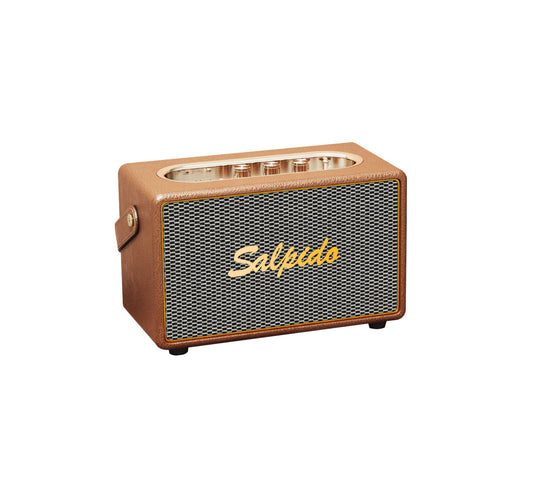 Party waves 900 , Wireless speaker