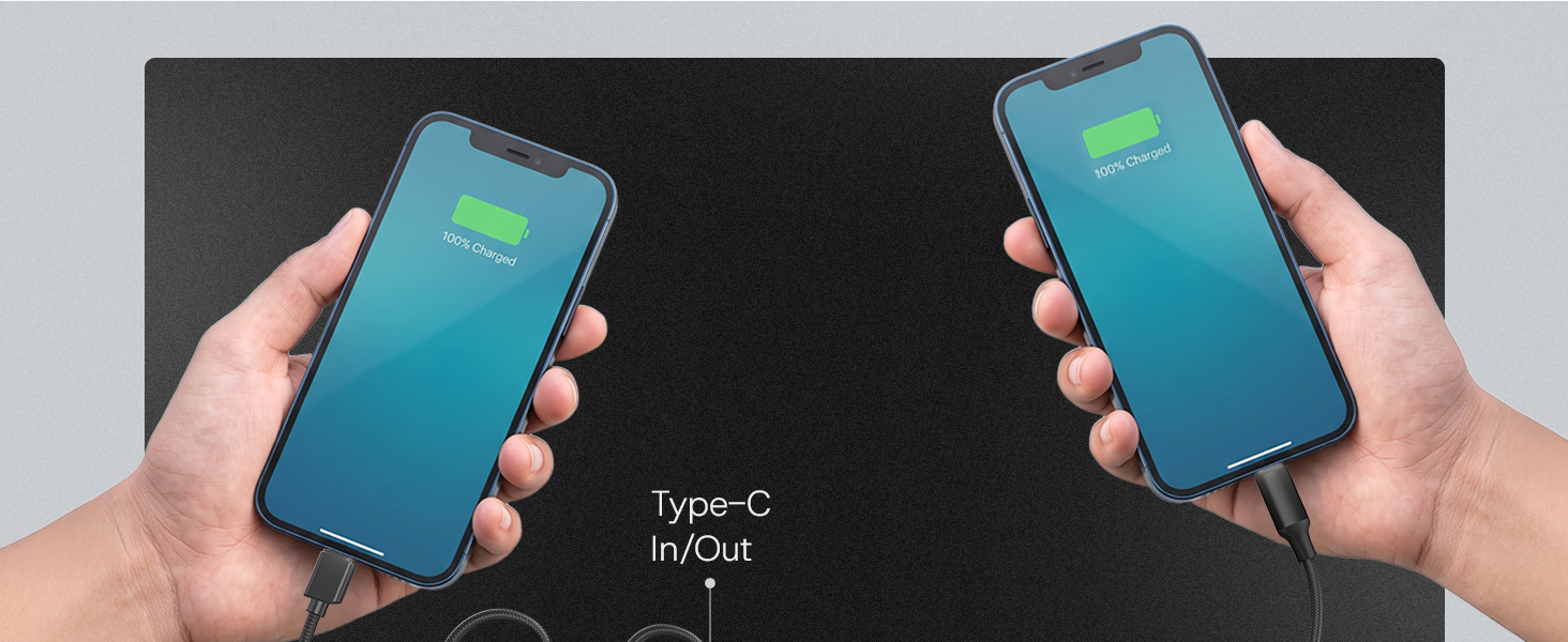 Salpido Powervolt 201 Link — 10000mAh Power Bank desktop A+ image 7