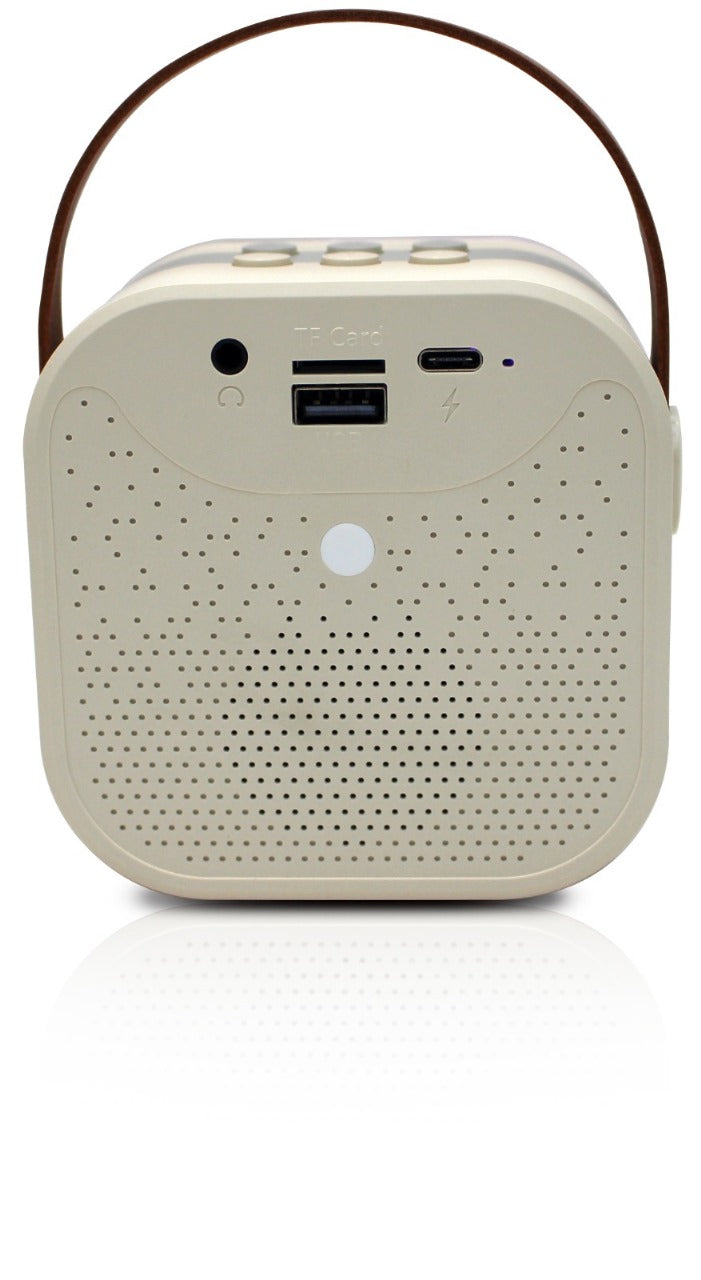 Party waves 407 Portable Bluetooth Speaker