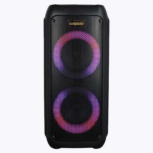 WAVES 303 Portable Bluetooth Subwoofer