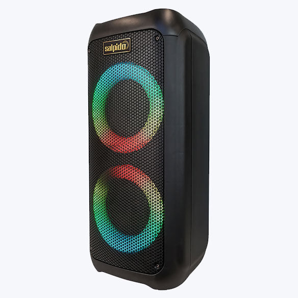 WAVES 303 Portable Bluetooth Subwoofer